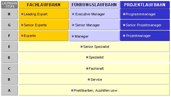 Image career paths and career model